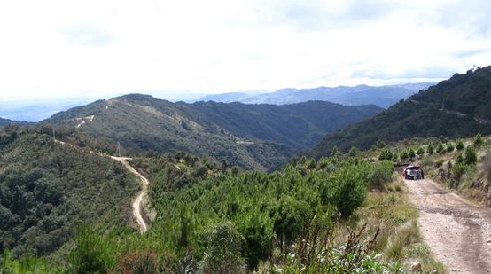 Montañas amenazadas por minería