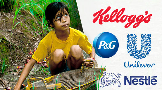 Kellogg’s, Nestlé, Unilever: trabajo infantil en la producción de aceite de palma