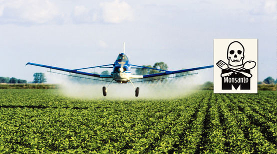 Avioneta lanzando herbicida sobre campo de soja