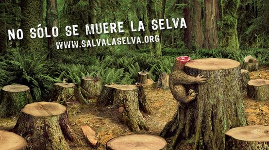 No sólo muere la selva