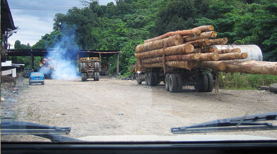 Transporte de madera tropical