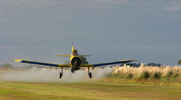 Avioneta fumiga con glifosato