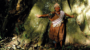 Mujer indígena protege un árbol centenario en la selva tropical de Perú