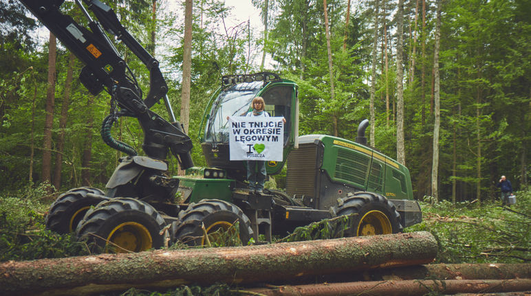 Protesta contra la tala del bosque de Bialowieza en Polonia
