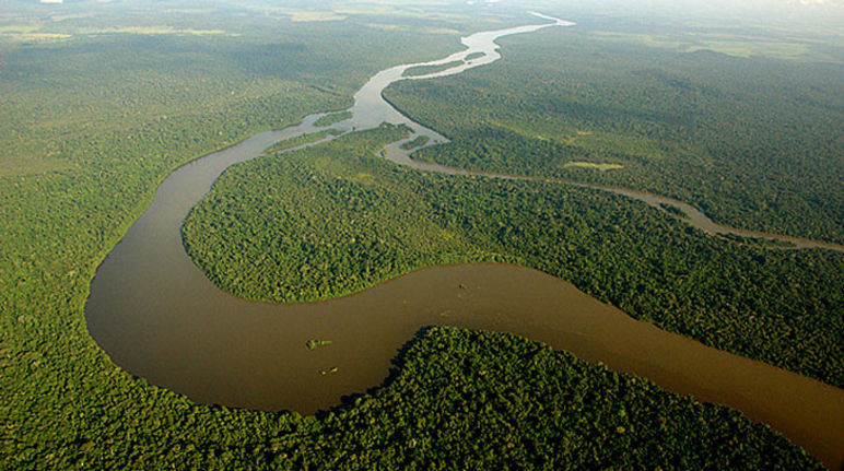 Semejantes paisajes son los que están en juego en Brasil Vista aérea de la selva y río