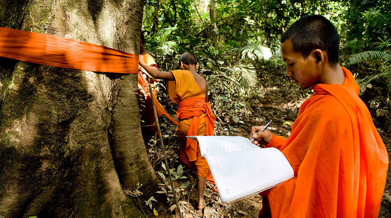 Un monje marca un tronco y otro determina su posicionamiento en un mapa
