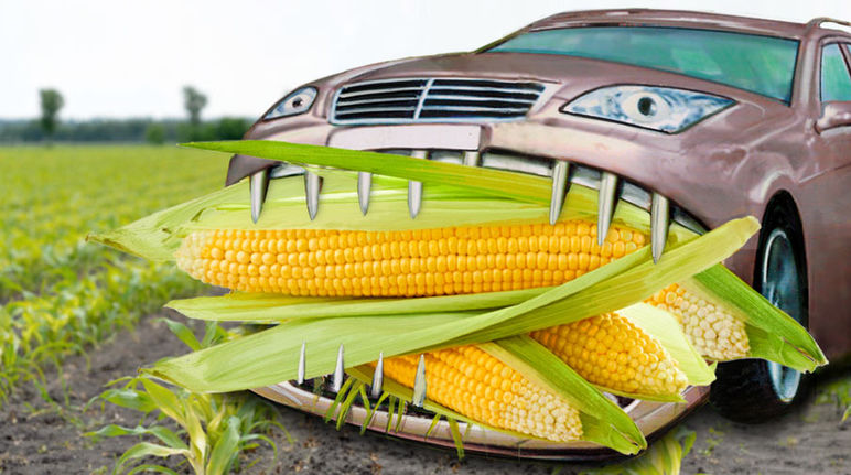 Un auto come maíz