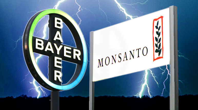 Monsanto es sinónimo de agrotóxicos y plantas genéticamente modificadas en los campos de cultivo Bayer Monsanto