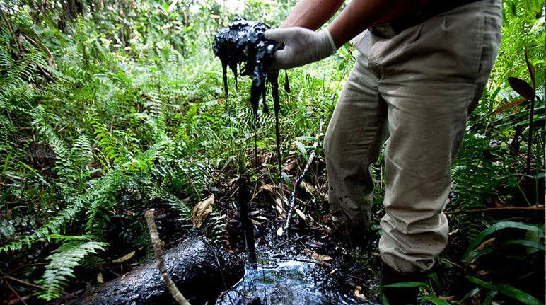 Contaminación petrolera en la Amazonía ecuatoriana Derrame de petroleo en la selva