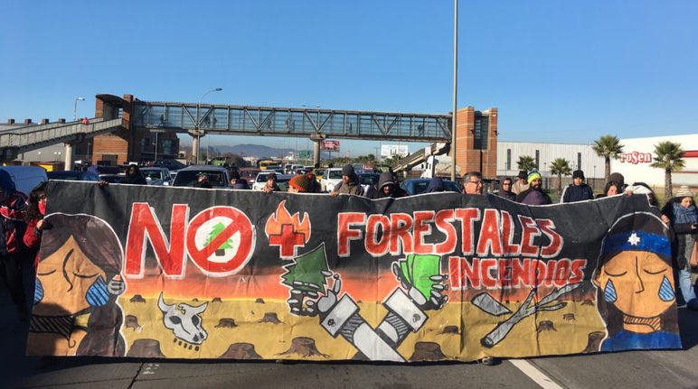 La conferencia sobre los árboles transgénicos encontró protestas en el exterior Protestas en Chile contra el modelo forestal y los árboles transgénicos