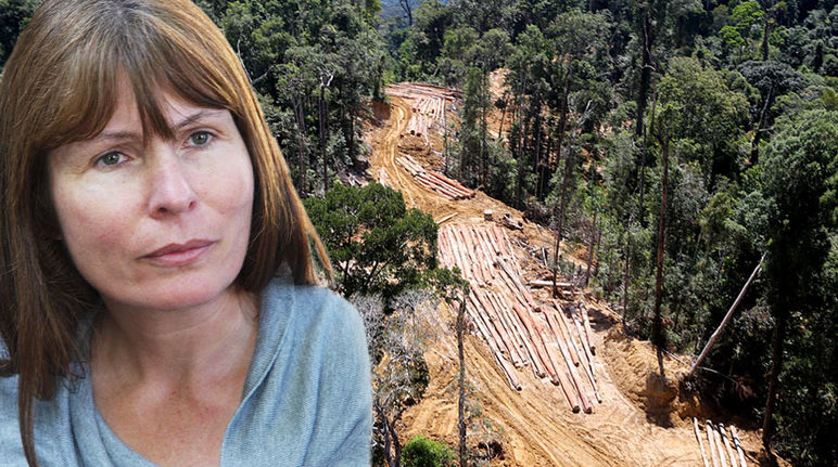 Perseguida por incómoda: la periodista Clare Rewcastle Brown (© Erwin Zbinden/mongabay.com)