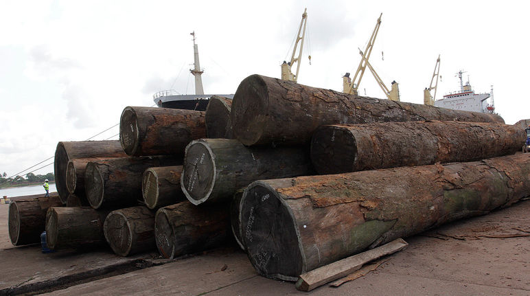 Madera en el puerto de Liberia (Foto: PROFOR (CC BY-NC 2.0)) Madera ilegal exportación
