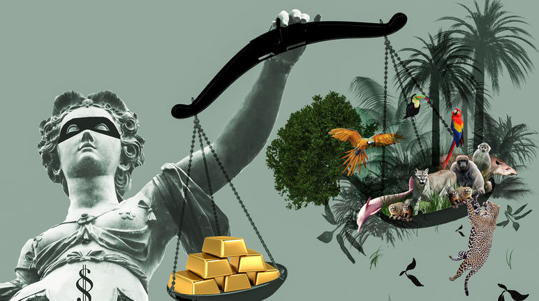 Usando los tribunales de arbitraje para abusar La balanza de la justicia, oro, selva, desequilibrio