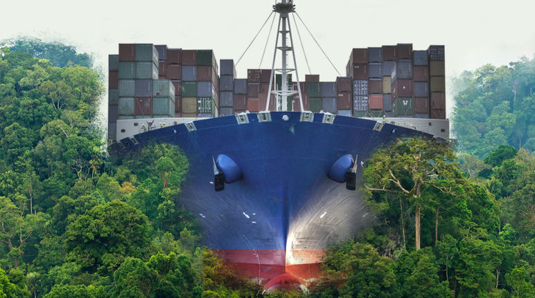 Destrucción masiva de la naturaleza para agilizar el libre comercio global Nicaragua barco a través de la selva
