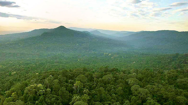 Montañas de cardamomo