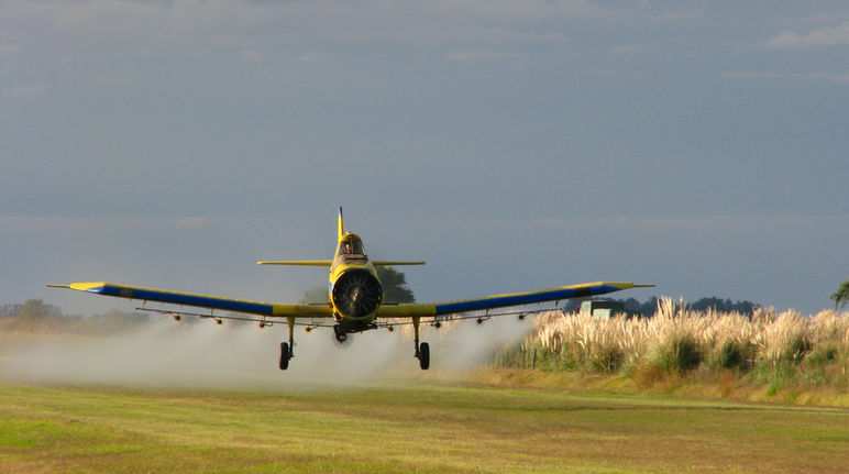 El uso del glifosato está muy extendido en Argentina (Foto: Santiago Nicolau via Flickr) Avioneta fumiga con glifosato