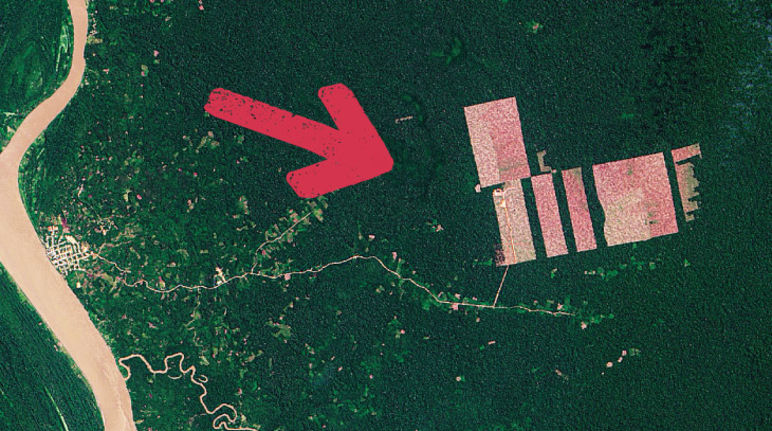 Masiva deforestación para sembrar la palma. Foto: NASA Fotografia NASA deforestación Perú