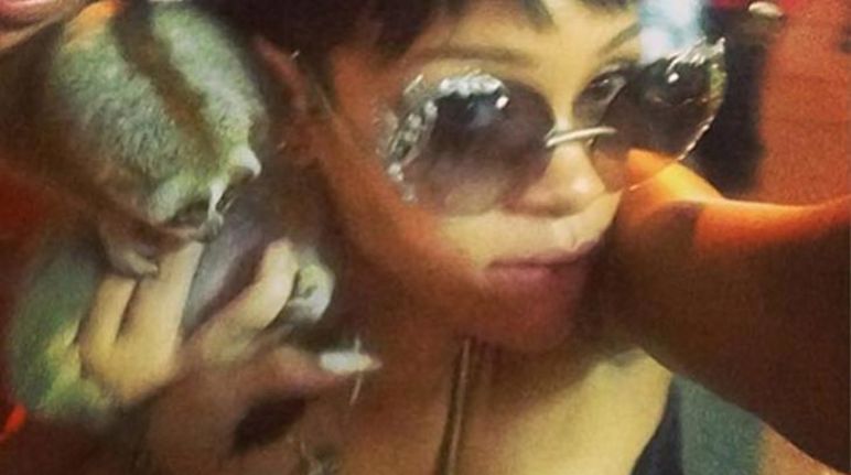 Foto: Badgalriri via Instagram. Rihanna con el loris, la pasada semana Rihanna con el loris