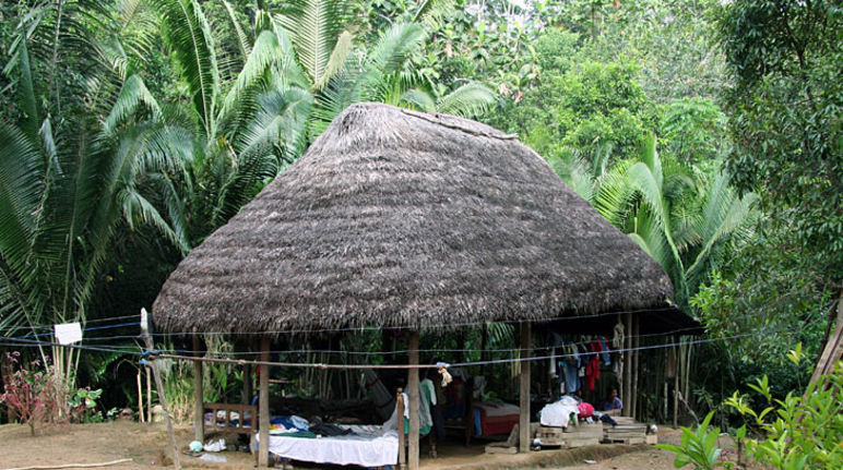 Sarayaku Comunidad indígena en la amazonía ecuatoriana