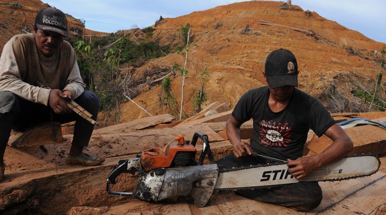Madereros en Borneo con motosierra de Stihl