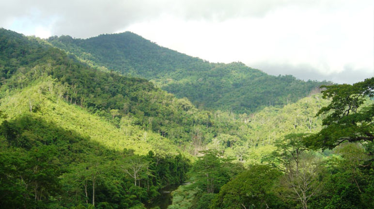 Valle de selvas tropicales
