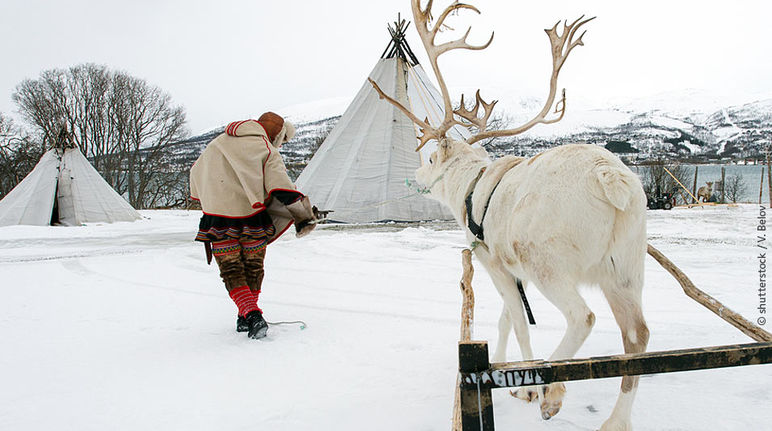 El territorio del pueblo lapón está sometido a múltiples amenazas Indígenas sami y reno