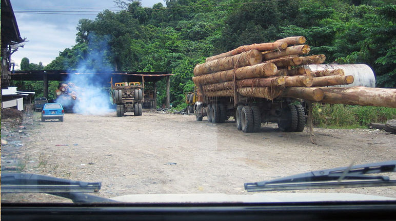 Transporte de madera tropical