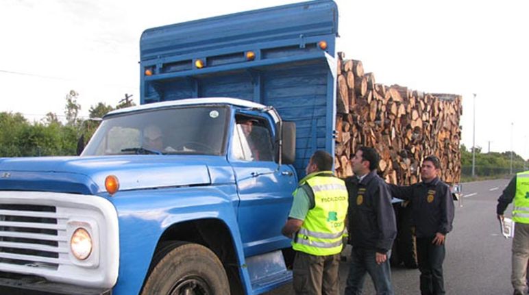 Policías inspeccionan transportes de madera Camión cargado de madera durante una inspección policial