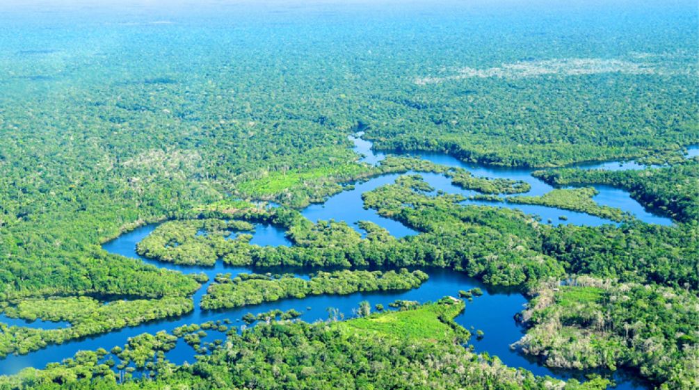 Vista aérea de la selva amazónica