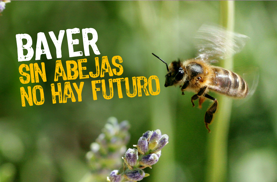 Petición - Las abejas necesitan ayuda - Salva la Selva