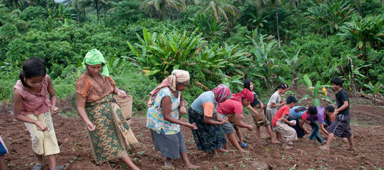 Mujeres siembran un campo