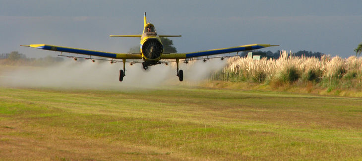 Avioneta fumiga con glifosato