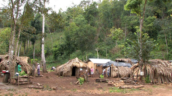 Una comunidad de refugiados en la selva